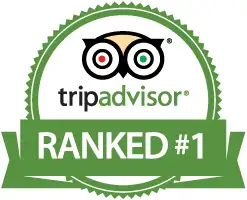 tripadvisor